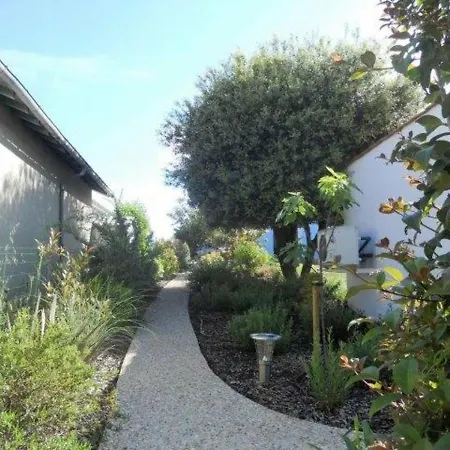 Maison Saint-palais-sur-mer, 1 Piece, 4 Personnes - Fr-1-305a-4 *